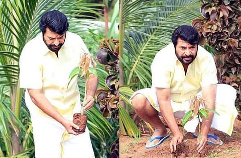 மம்முட்டியின் மை ட்ரீ சேலஞ்ச் - ஷாரூக், விஜய், சூர்யாவுக்கு முதல் சவால்