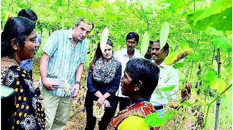 புதுவாழ்வு திட்டத்தின் மூலம் காய்கறி தோட்டம்: உலக வங்கி அதிகாரிகள் ஆய்வு