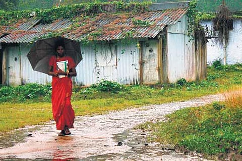 அடர் வனத்தில் ஒரு அஞ்சல் பெண்