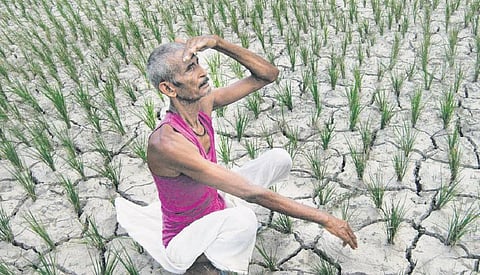 விவாதக்களம்: அறமற்ற அறிவியல் விவசாயத்துக்கு எதிரானதே!