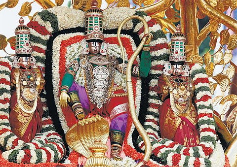 திருப்பதி பிரம்மோற்சவம் 4-ம் நாள் விழா: கற்பக விருட்ச வாகனத்தில் உற்சவர் பவனி