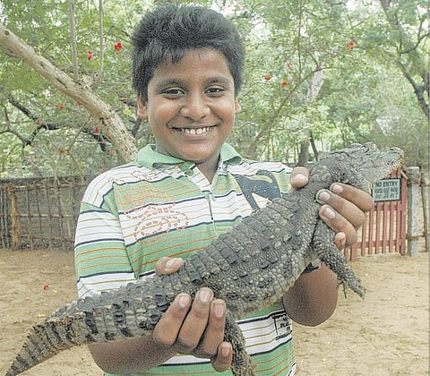 மனிதர்க்குத் தோழனடி: காட்டுயிர் வாரம்