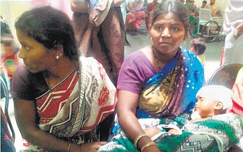 பெங்களூரில் சோகம்: சிறுவனை கடித்துக் குதறிய தெரு நாய்கள்
