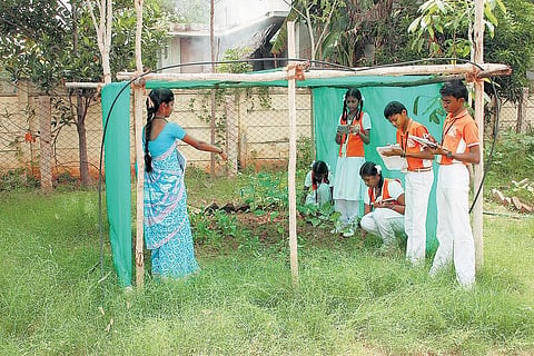 தட்பவெப்பம், காலநிலை பற்றிய அறிவியல் ஆய்வு: 10 ஆயிரம் மாணவர்கள் பங்கேற்பு