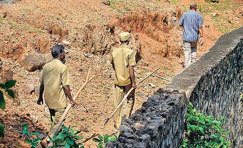 மாயமானதாக கூறப்படும் பெண் புலி உட்பட 26 புலிகளும் பாதுகாப்பாக பூங்காவில் உள்ளன: வண்டலூர் பூங்கா இயக்குநர் பேட்டி