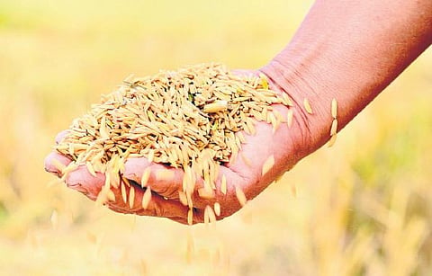 உழவே தலை - தேசிய விவசாயிகள் நாள் (டிசம்பர் 23 )