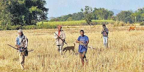 போடோ தீவிரவாதிகளை தேடும் பணி தீவிரம்: நடவடிக்கை மிகக் கடுமையாக இருக்கும் - ராஜ்நாத் சிங் திட்டவட்டம்