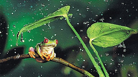 உயிரியலிலும் உயர் மதிப்பெண்