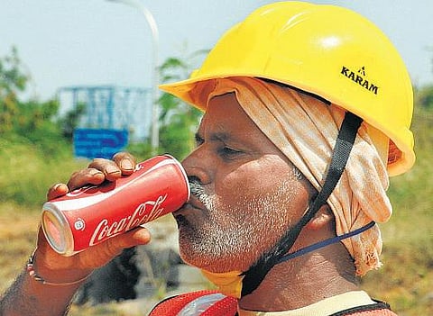 குப்பை உணவுகளின் இன்னொரு முகம்