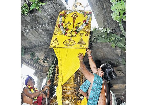 பழநியில் தைப்பூச கொடியேற்றம்: ஆயிரக்கணக்கான பக்தர்கள் திரண்டனர்