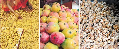 4 ஆண்டுகளாக தாமதமாகும் புவிசார் குறியீடு: ஈரோடு மஞ்சள், சேலம் மாம்பழம் உட்பட ‘காத்திருப்பு’ பட்டியலில் 26 பொருட்கள்