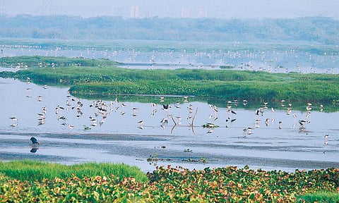 உலகுக்கு உயிர் தரும் அமுதசுரபிகள்
