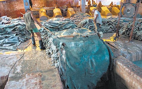 தோல் தொழிற்சாலைகளும் சுற்றுச்சூழலும்