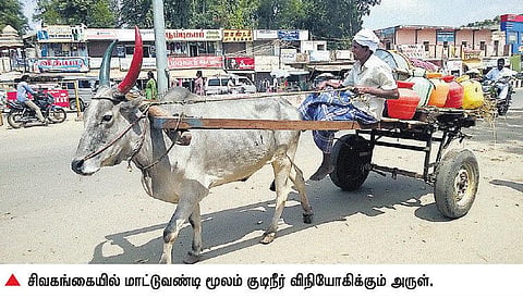 சிவகங்கையில் தாகம் தீர்க்கும் முதியவர்: மாட்டு வண்டியில் வீடு தேடி சென்று குடிநீர் விநியோகம்