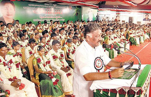 அரசு வருவாயில் 50 சதவீதம் சமூக பாதுகாப்புக்கு ஒதுக்கீடு: முதல்வர் ஓ.பன்னீர்செல்வம் தகவல்