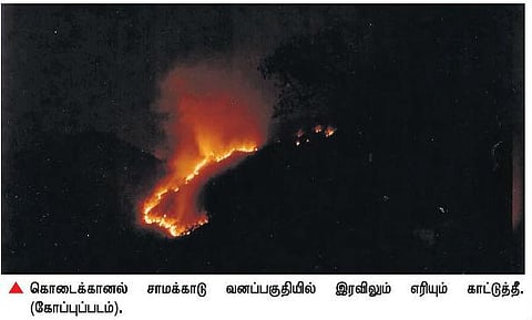 காட்டுத் தீயால் வனவிலங்குகள் இடம்பெயர்வு அதிகரிப்பு: கொடைக்கானலில் சுற்றுலாப் பயணிகளுக்கு ஆபத்து