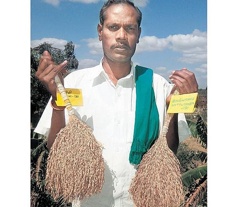 பாரம்பரியம் விதைக்கும் ஜெயராமனுக்கு தேசிய விருது