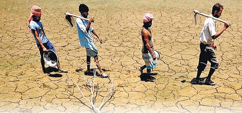 விவசாயிகள் தற்கொலையா, படுகொலையா?