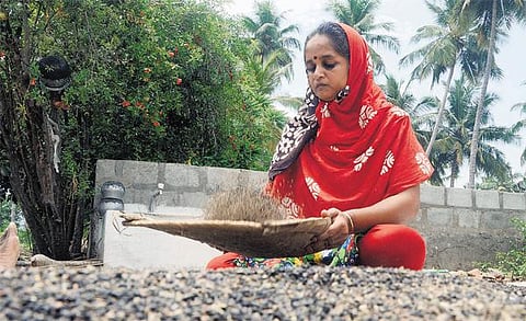 முகம் நூறு: வங்கிப் பணியில் இருந்து விவசாய நிலத்துக்கு!