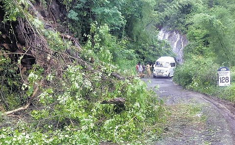 பழநி - கொடைக்கானல் சாலையில் 10 இடங்களில் மண் சரிவு: பலத்த மழையால் பாறைகள் விழுந்து போக்குவரத்து துண்டிப்பு