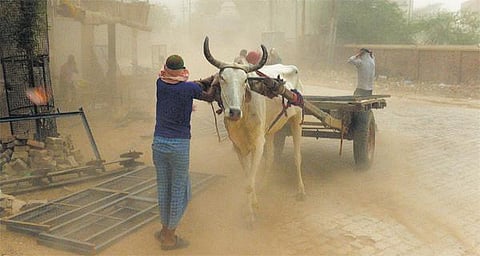 ராஜஸ்தான் புழுதிப் புயலில் பலியானவர்களுக்கு ரூ.4 லட்சம் இழப்பீடு