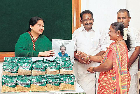 சென்னையில் திறக்கப்பட்ட அம்மா உணவகங்கள்