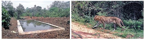 மேற்குத் தொடர்ச்சி மலைப் பகுதியில் வன விலங்குகளுக்காக 16 இடங்களில் தண்ணீர் தொட்டிகள் அமைப்பு