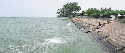 வீராணம் ஏரிப் படுகையில் ஒரு பயணம்: எம்ஜிஆரின் குற்றச்சாட்டு