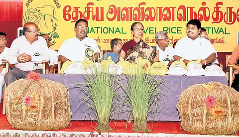 நெல்லைப் போற்றிய இயற்கைத் திருவிழா
