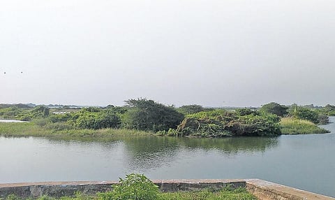 வீராணம் ஏரிப் படுகையில் ஒரு பயணம்.. ஒதுக்கிய நிதி எங்கே?