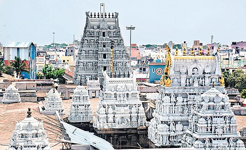 பார்த்தசாரதி தரிசனம்