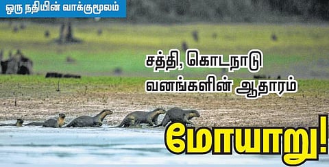 ஒரு நதியின் வாக்குமூலம்: சத்தி, கொடநாடு வனங்களின் ஆதாரம் மோயாறு!