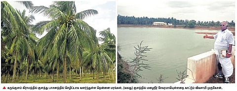 மழைநீரை சேமித்து 300 ஏக்கரில் விவசாயம்: சிவகங்கை அருகே வறட்சியை வென்று விவசாயி சாதனை