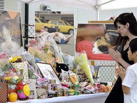 அதிகாரியாக பணியாற்றி இறந்த பூனையைக் கடவுளாய்க் கொண்டாடும் ஜப்பானியர்
