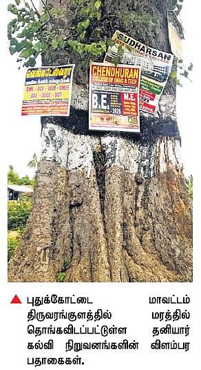 சாலையோர மரங்களை சேதப்படுத்தும் தனியார் கல்வி நிறுவனங்கள்: தடுத்து நிறுத்த சமூக ஆர்வலர்கள் வலியுறுத்தல்