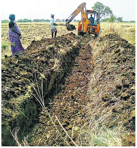 காட்டுமன்னார்கோவிலில் பாசன வாய்க்காலை சொந்த செலவில் தூர்வாரும் விவசாயிகள்