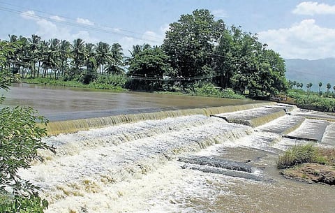 முல்லை பெரியாறு 120: தென் மாவட்டங்களில் பசுமை புரட்சி