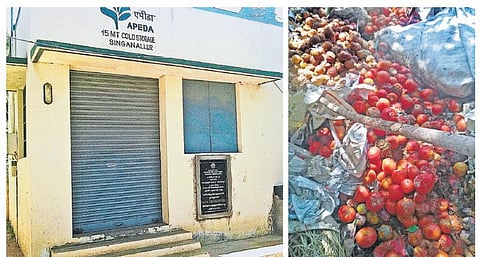 சிங்காநல்லூர் உழவர் சந்தையில் முதல்வரால் திறக்கப்பட்டு காட்சிப் பொருளான குளிர்பதனக் கிடங்கு
