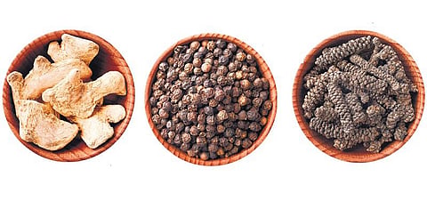 சமயசஞ்சீவி திரிகடுகம்