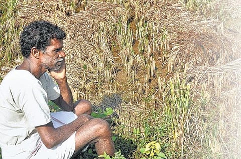 எதிர்க்கட்சிகள், விவசாயிகளின் கடும் எதிர்ப்பால் நிலம் கையகப்படுத்தும் அவசர சட்டத்தை 4-வது முறை கொண்டுவர மத்திய அரசு திட்டம்
