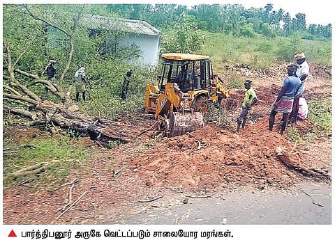 மதுரை - ராமநாதபுரம் நான்குவழிச் சாலை திட்டத்துக்காக 10 நாட்களில் 2500 மரங்கள் வெட்டி சாய்ப்பு