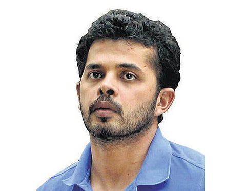 கொச்சி மைதானத்தில் பயிற்சி பெற ஸ்ரீசாந்த் அனுமதிக்கப்படுவார்: ஜிடிசிஏ