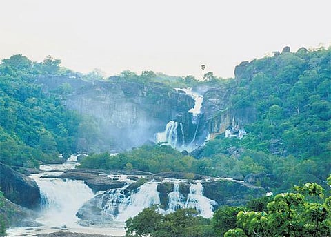 குறிஞ்சி, முல்லையிலிருந்து மருதம் பாயும் தாமிரபரணி