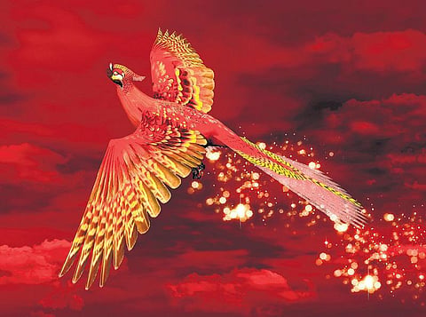 கற்பனை உயிரினம்: நெருப்பில் குதித்துப் பனியைத் தின்னும் பறவை