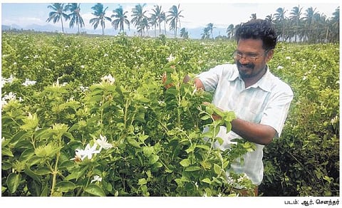 மீன் கழிவிலிருந்து பூச்சிவிரட்டி, பழக் கழிவிலிருந்து இயற்கை உரம்