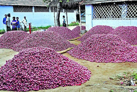 விலை உயர்வை கட்டுப்படுத்த பண்ணை பசுமைக் கடைகளுக்கு கூடுதல் வெங்காயம் கொள்முதல்: கூட்டுறவுத் துறை நடவடிக்கை