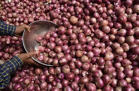 எகிப்து நாட்டு வெங்காயம் சென்னை வந்தது: உடனடியாக விலை குறைய தொடங்கியது