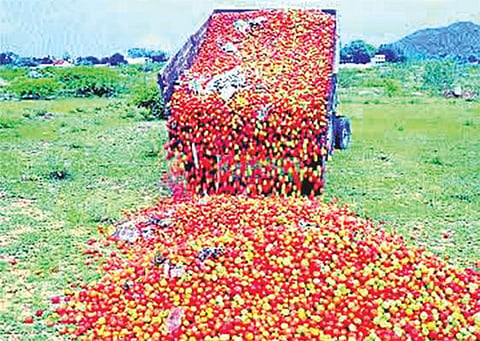 ஆந்திராவில் கன மழையால் விலை வீழ்ச்சி: தக்காளியை சாலையில் கொட்டி அழிக்கும் விவசாயிகள்