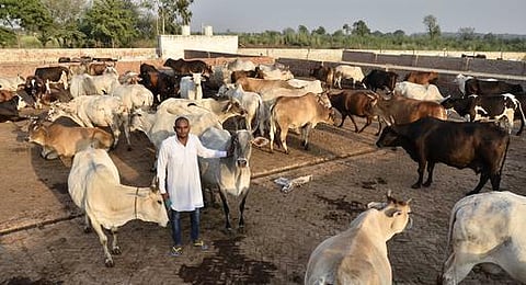 மாட்டு இறைச்சிக்கு தடை: போராட்டத்துக்கு தயாராகும் ஜம்மு-காஷ்மீர்