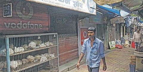 மும்பையில் செப்.17-ல் இறைச்சி விற்பனைக்கு அனுமதித்து உயர் நீதிமன்றம் உத்தரவு